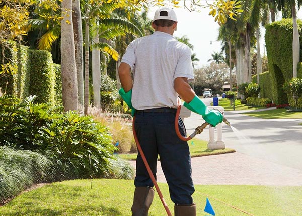 About Lancaster TX Pest Control Pros